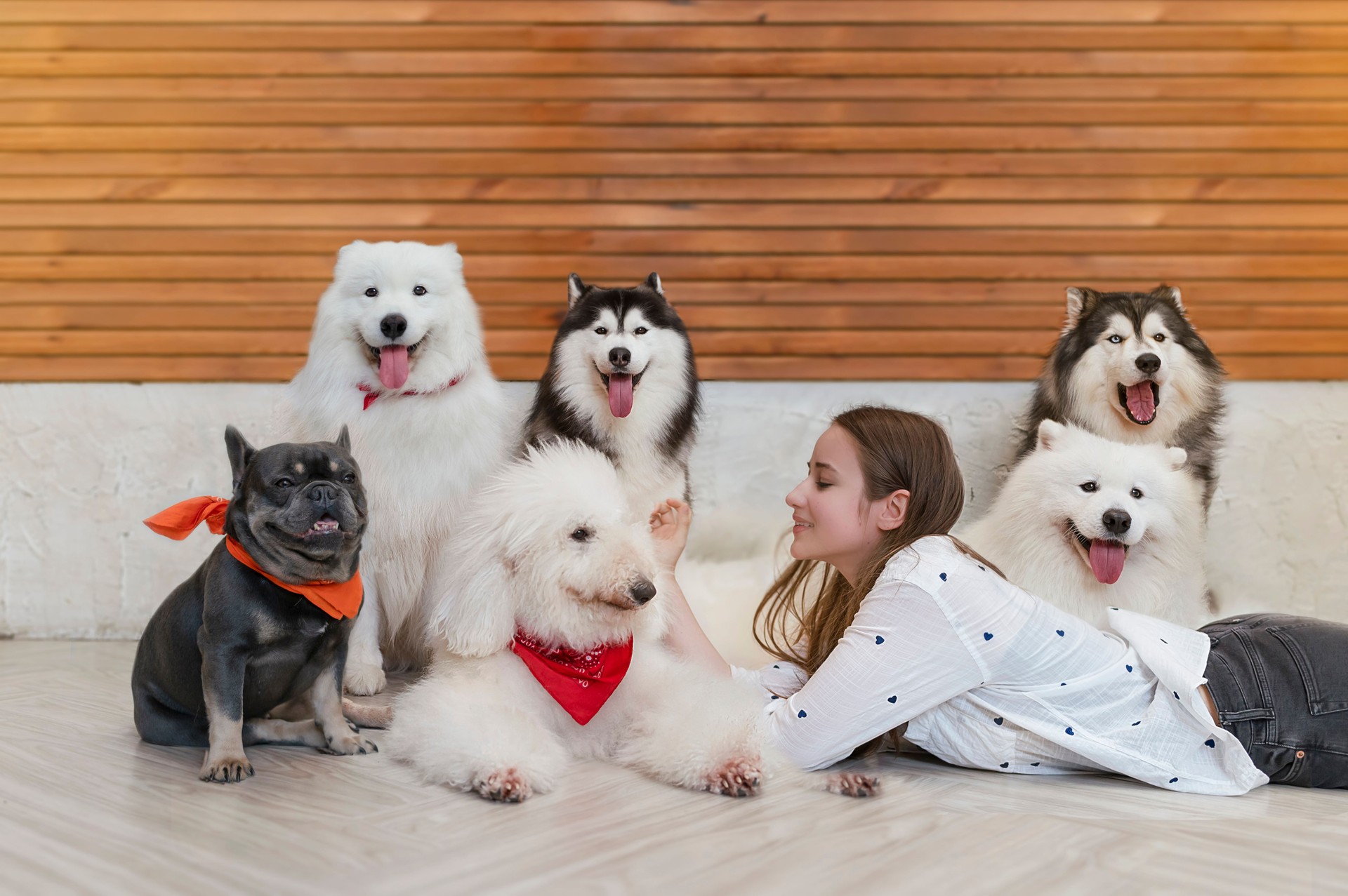 A cheerful young woman is lying on the floor with six dogs.